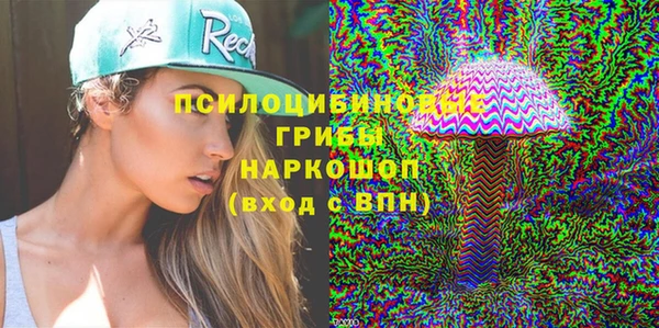 2c-b Белокуриха