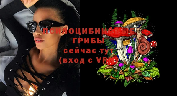 2c-b Белокуриха