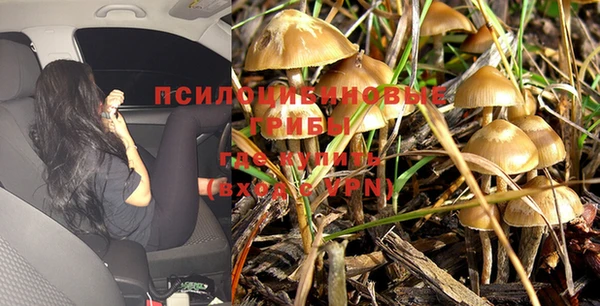 2c-b Белокуриха