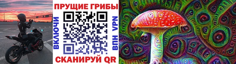 Псилоцибиновые грибы Psilocybe  Староминская 